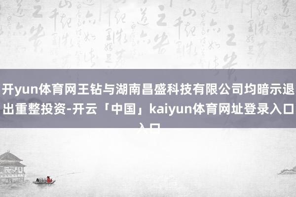 开yun体育网王钻与湖南昌盛科技有限公司均暗示退出重整投资-开云「中国」kaiyun体育网址登录入口
